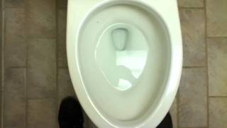 Bathroom Tour Comfort Inn American Standard Toilet and Urinal with Toto Toilet [upl. by Brey]