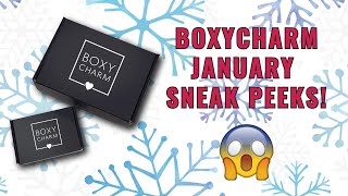 BOXYCHARM JANUARY 2022 SNEAK PEEKS  BASE amp PREMIUM BOX CHOICES  POTENTIAL SPOILERS [upl. by Bronder]