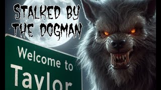 E42 Dogman fights a bear Dogman in Taylor 7 Dogman Stories to Keep You at of the Woods [upl. by Shirl]