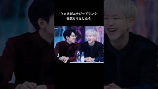 ウォヌホシが尊い seventeen wonwoo hoshi jeonwonwoo kwonsoonyoung ウォヌ ホシ 雑学 豆知識 kpop [upl. by Niwrek]