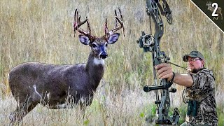 Our BEST Opening Day Ever Bowhunting Early Season Deer [upl. by Lela]