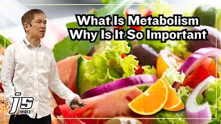 What Is Metabolism and Why Is It so Important l JS Joshua [upl. by Essyle]