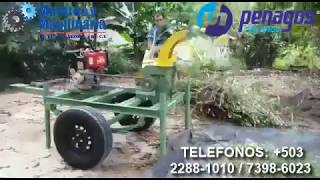 PICADORA DE ZACATE Y PASTO PP 600 MOTOR DIESEL KTC 12 HP [upl. by Elyr]