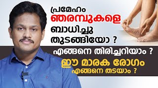 പ്രമേഹം ഞരമ്പുകളെ ബാധിച്ചു തുടങ്ങിയോ എങ്ങനെ തിരിച്ചറിയാം  How do you prevent diabetic neuropathy [upl. by Hajile952]