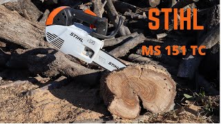 STIHL MS 151 TCΕ [upl. by Ymmac]