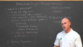 Healing Fungal and Parasite Infections An Overview with Paul Chek [upl. by Alil]