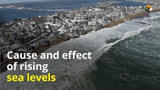 Cause and effect of rising sea levels [upl. by Regdirb686]