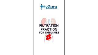 Filtration Fraction for the USMLE  HyGuru [upl. by Ingamar]