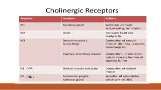 Cholinergic Drugs [upl. by Kala]