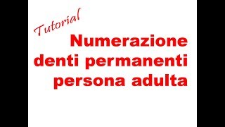 METASALUTE tutorial numerazione denti adulto permanenti [upl. by Laved]