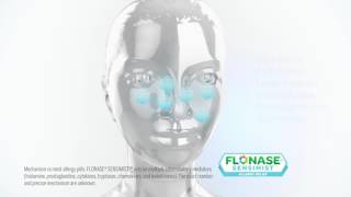 Get More Complete Allergy Relief  FLONASE [upl. by Assirolc]