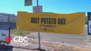 Ugly Potato Day giveaway growing in popularity [upl. by Atnoid]