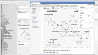 S03  Anki Flashcards 07 Saving time adding images to cards [upl. by Akeret]