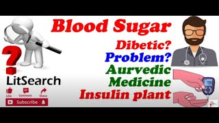 Blood Sugar मधुमेही Insulin plant Costus igneus [upl. by Nnailuj143]