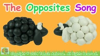 The Opposites Song  Antonyms  110 words  LEARN ENGLISH Vocabulary [upl. by Primaveras928]