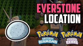 Where to Find Everstone  Pokémon Brilliant Diamond amp Shining Pearl All Methods [upl. by Darrey]