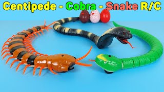 RC Centipede Cobra Snake Remote Control Simulation And Rechargeable  Unboxing amp Review [upl. by Blessington]