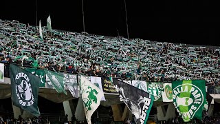 Videotifo di Avellino  Virtus Francavilla del 04112023 [upl. by Pauly]