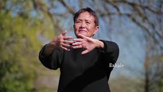 Qigong Full 20Minute Daily Routine [upl. by Hayne]