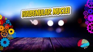 Habenular nuclei  Know It ALL 🔊✅ [upl. by Akkimat100]