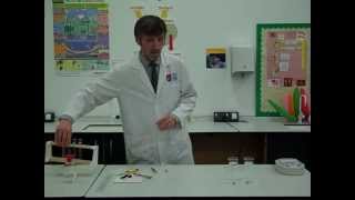 Core Practical Investigating the permeability of beetroot membranes [upl. by Akilam261]