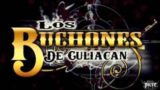 Los Buchones De Culiacan  La Orden Epicenterwmv [upl. by Ena]