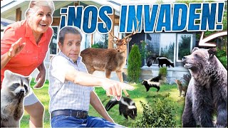 NUESTRA CASA SE LLENA DE ANIMALES SALVAJES  LOS POLINESIOS VLOGS [upl. by Itnahs]