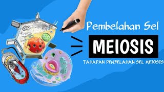 Pembelahan Meiosis  Tahapan Meiosis 1 dan 2 [upl. by Joerg]