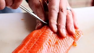 How to fillet an Alaska sockeye salmon [upl. by Elisee]