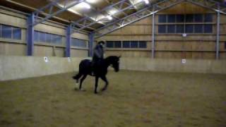 Reitunfall mit jungem Pferd [upl. by Enyedy163]