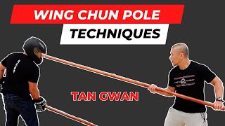 Wing Chun Pole  The Tan Gwan Technique  Kung Fu Report 305 [upl. by Larine]