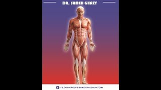 GENERAL ANATOMY 1  anatomical position and anatomical planes DR SAMEH GHAZY [upl. by Eiboh168]