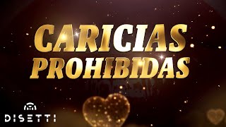 Viti Ruiz  Caricias Prohibidas Video Lyric  Salsa Romántica con Letra [upl. by Acceb]