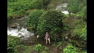 FIELD TRIP WITH PATRICK BLANC IN JAVA 1  BROMO TO PACITAN [upl. by Cini]