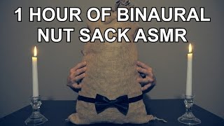 1 Hour of Binaural Nut Sack ASMR  No Speaking  Nut Sack Sounds Only [upl. by Eerehc]