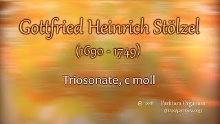 Gottfried Heinrich Stölzel Triosonate c moll [upl. by Elfie]