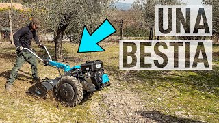 Preparare il TERRENO con il MOTOCOLTIVATORE 🚜 [upl. by Annahsed]