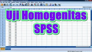 Uji Homogenitas Levene Statistics dengan SPSS Sangat Lengkap [upl. by Akalam]