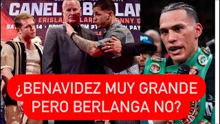 ¿BERLANGA ES MUY GRANDE PARA EL CANELO ¿Y BENAVIDEZ QUÉ canelo [upl. by Enyrehtac180]