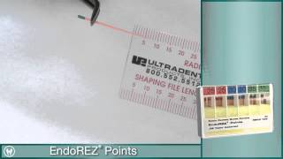 Root Canal Obturation using EndoEze EndoREZ from Ultradent [upl. by Nueovas]