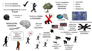 Sapiens De animales a dioses Resumen animado Capítulo 2 [upl. by Yeldnarb]