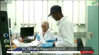 Six Durban beaches flagged for E coli [upl. by Jasmin]