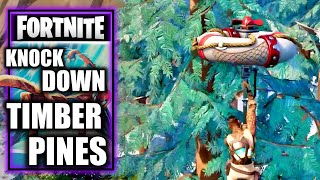 Knock Down Timber Pines  Fortnite  Season Quest [upl. by Cavallaro]