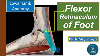 Anatomy Of The Flexor Digitorum Profundus Muscle  Everything You Need To Know  Dr Nabil Ebraheim [upl. by Marcela]