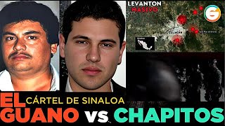 El Guano vs Los Chapitos Sinaloa [upl. by Jacquelyn]