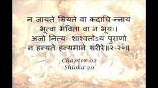 Bhagavad Gita Sanskrit recitation with Sanskrit text  Chapter 02 [upl. by Arualana98]