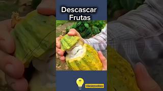 Maneiras praticas descascar frutas dicasdefruta cozinhafacil trucosculinarios frutafresca [upl. by Vevay]