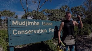 Snorkel With Turtles At Mudjimba Island  Sunshine Coast QLD [upl. by Refinne]