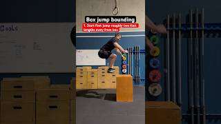 Box jump bounding  Movement technique video [upl. by Stuart]