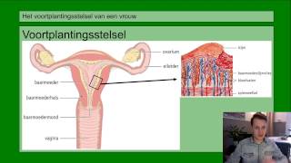 VMBO HAVO 2  Voortplanting  Basisstof 3 Het voortplantingsstelsel van de vrouw [upl. by Ho]